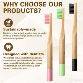 img 2 attached to 🌱 Sustainable and Environmentally-Friendly SOOQOO Biodegradable Toothbrushes