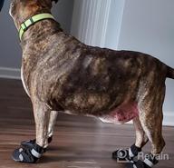 img 1 attached to Anti-Slip Dog Boots For Large And Medium Breeds - Winter Paw Protection With Adjustable Straps And Waterproof Design - Comfortable Pet Shoes For Hiking And Outdoor Activities review by Kanwar Mix
