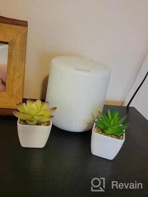 img 1 attached to Add A Touch Of Green With Veryhome'S 4Pcs Artificial Faux Succulent Mini Potted Plants For Home And Office Decor review by Billy Berry