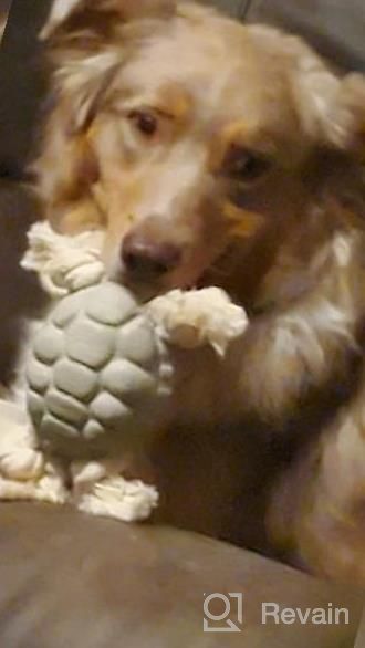 img 1 attached to Large Breed Sedioso Dog Chew Toy For Aggressive Chewers, Tough Dental Chews Toothbrush Toy For Medium And Large Dogs Teeth Cleaning (Green Turtle) review by Efraine Cruise