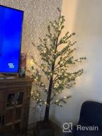 img 1 attached to Stunning Cherry Blossom Tree With 180 Fairy Lights - Perfect For Spring Wedding Or Party Décor review by Ashley Brunner