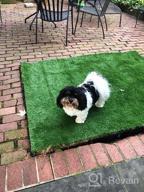 img 1 attached to Create A Lush Outdoor Space With SavvyGrow'S Realistic 5Ft X 8Ft Astroturf Rug: Premium Quality, Low Maintenance, And Eco-Friendly review by Dave Calabro