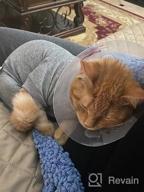 img 1 attached to Surgical Recovery Suit For Cats - Male And Female Abdominal Wounds, Anti-Licking And Skin Disease Pajama, Cone E-Collar Alternative With Soft Fabric - Professional Pet Onesies review by Joe Martin