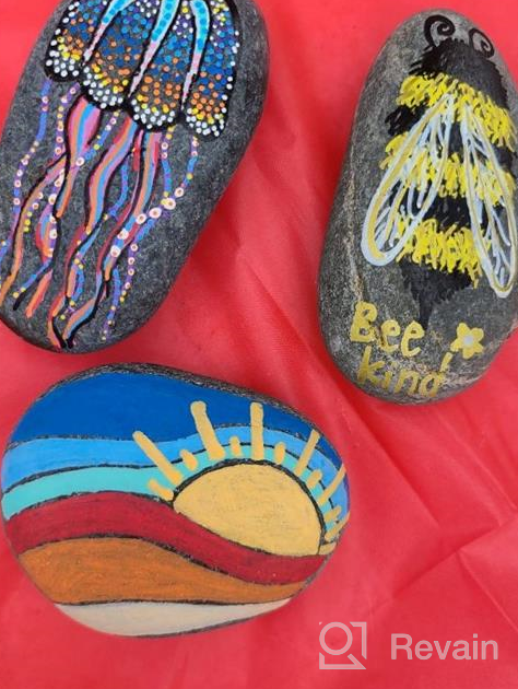 img 1 attached to 🎨 BigOtters 12 Mandala Painted Kindness Rocks, 2-3 inches, Ideal Easter Gifts. Perfect for Kids and Adults. Weighs Approximately 3.7 Pounds. review by Albert Dorsett