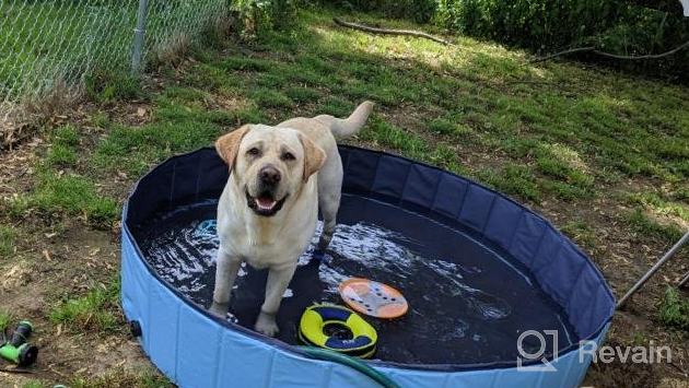 img 1 attached to Collapsible Pet Pool For Dogs, Cats, And Kids - 32 Inches In Diameter And 8 Inches In Height - Jasonwell Foldable Dog Bathing Tub In Blue review by Matt Louis