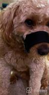 img 1 attached to Dog Muzzle For Medium Dogs, Dog Muzzle For Large Dogs Biting, Soft Nylon Muzzle Anti Biting Barking Chewing,Air Mesh Breathable Drinkable Adjustable Pet Muzzle For Medium Large Dogs L Black review by Brian Carrizales