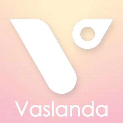 Vaslanda company reviews in 2024