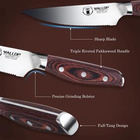img 2 attached to Jane Series 5'' Senior Steak Knife Set Of 4 - High Carbon German Stainless Steel & Pakkawood Handle Ergonomics Design