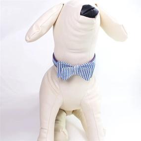 img 2 attached to Stylish Blue Striped Pet Collar With Bow-Knot For Small Dogs - XS Size By Tangpan For Optimal Comfort