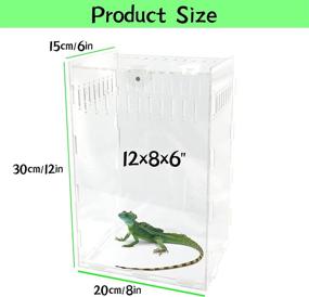 img 3 attached to 🦎 Transparent Magnetic Acrylic Reptile Case 12x8x6 inches - Ideal Vertical Enclosure Tank for Insects, Spiders, Crickets, Snails, Hermit Crabs, Lizards, Frogs - Micro Habitat Terrariums