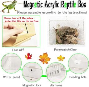 img 2 attached to 🦎 Transparent Magnetic Acrylic Reptile Case 12x8x6 inches - Ideal Vertical Enclosure Tank for Insects, Spiders, Crickets, Snails, Hermit Crabs, Lizards, Frogs - Micro Habitat Terrariums