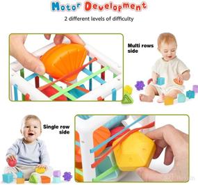 img 3 attached to 🔢 Montessori Educational Toys for 1-2 Year Olds: Colorful Cube Baby Sorter Toy, 10-Piece Multi-Sensory Shape Sorting Set, Sensory Bin for Toddlers - Ideal Baby Toys 12-18 Months, Perfect Gift for Preschool Learning