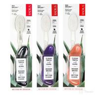 radius toothbrush replacement assorted accepted logo