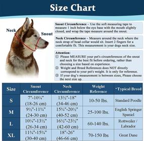 img 2 attached to Premium Dog Head Collar with Safety Clip and No-Pull Design - Ideal for Heavy Pullers, Training Medium to Large Dogs - Durable, Soft Halter Stops Pulling and Enhances Walking Experience