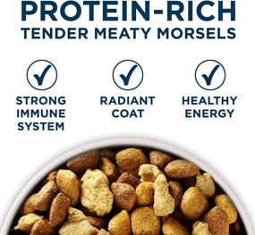 img 3 attached to 🐶 Purina ONE SmartBlend Natural Large Breed Formula Adult Dry Dog Food: Perfect Nutrition for Your Big Pooch