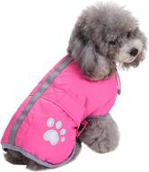 🐶 queenmore reversible winter fleece dog vest - waterproof pet jacket for cold weather - available in xs, s, m, l, xl sizes логотип