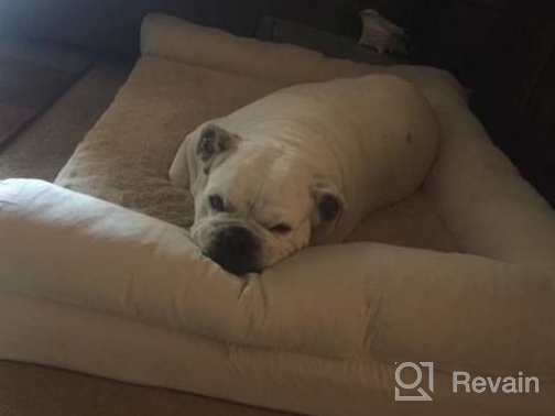 img 1 attached to 🐶 Furhaven Large Gray Plush & Suede Sofa-Style Dog Bed Replacement Cover review by Loren Rindfleisch