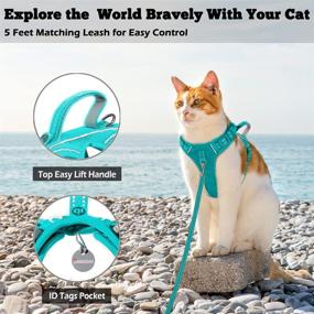 img 2 attached to 🐱 Escape-Proof Cat Harness and Leash Set with ID Tag Pocket for Secure Walking - Perfect for Small and Large Cats, Kittens