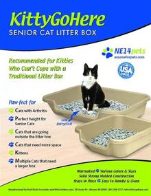 img 2 attached to 🐈 Senior Cat Litter Box - KittyGoHere Litter Box