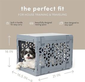 img 2 attached to 🐾 KindTail PAWD: Portable and Stylish Fully Collapsible Dog Crate for Small Dogs and Cats, Perfect for Pet Travel and Kennel Purposes