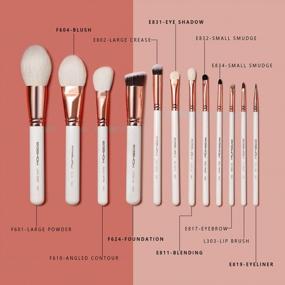 img 3 attached to 💄 12pcs Professional Makeup Brushes Set, Eigshow Limited Edition for Foundation Powder Contour Blush & Eye Cosmetics, Complete with Luxury Cosmetic Bag (PRO RoseGold)