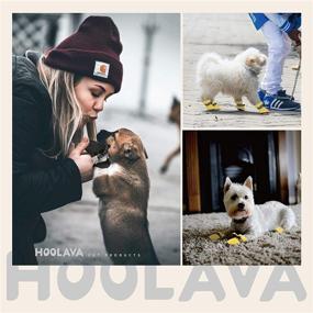 img 3 attached to Hoolava Dog Shoes: Non-Slip Winter Boots with Reflective 🐾 Straps - Paw Protector for Small Medium Dogs and Puppies (4PCs)