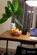 img 1 attached to Artificial Plants Tropical Leaves Banana Tree Faux Palm Leaf Bird Of Paradise Plant Fake Leaves Greenery Shrubs Indoor Outside Home Garden Office Verandah Wedding Décor review by Malik Berry