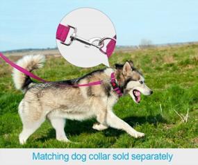 img 1 attached to Taglory Nylon Dog Leash 6Ft, Soft Padded Handle Pet Reflective Leashes For Medium Large Dogs Walking & Training, Hot Pink