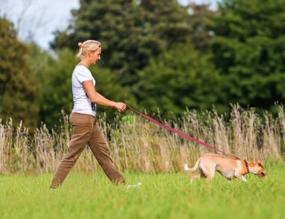 img 2 attached to Taglory Nylon Dog Leash 6Ft, Soft Padded Handle Pet Reflective Leashes For Medium Large Dogs Walking & Training, Hot Pink