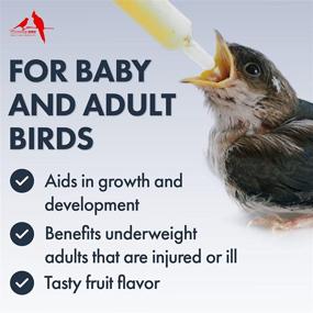 img 3 attached to 🐦 Morning Bird Growth & Healing Formula for Baby Birds, Fruit Flavor: Powder Blend