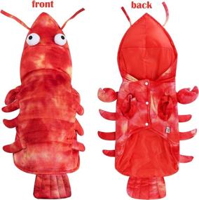 img 3 attached to BWOGUE Lobster Costume Clothes Halloween Cats best: Apparel