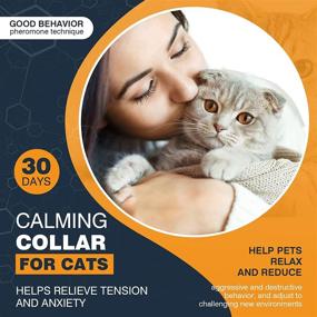 img 3 attached to 🐱 Long-Lasting Calming Collar for Cats - Relieve Anxiety, Stress, and Promote Relaxation - 3 Pack, 30 Days, Adjustable Breakaway Design - Gray