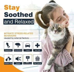 img 1 attached to 🐱 Long-Lasting Calming Collar for Cats - Relieve Anxiety, Stress, and Promote Relaxation - 3 Pack, 30 Days, Adjustable Breakaway Design - Gray