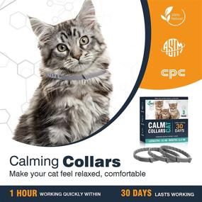 img 2 attached to 🐱 Long-Lasting Calming Collar for Cats - Relieve Anxiety, Stress, and Promote Relaxation - 3 Pack, 30 Days, Adjustable Breakaway Design - Gray