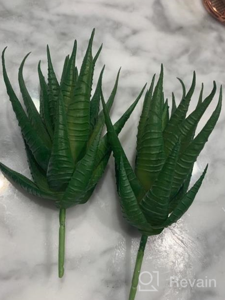 img 1 attached to 🌵 Set of 2 Mini Textured Faux Succulent Picks, Spiky Green Haworthia Cactus, Artificial Mini Aloe, Unpotted (Green) review by Ron Kishore