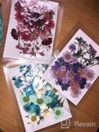 img 1 attached to 🌸 Thrilez 100-Piece Pressed Dried Flowers Kit for Resin Molds - Natural Flower Herbs for Scrapbooking, Card Making, Resin Jewelry, Soap, and Candle Crafts (Blue, Purple, Red) review by Jon Delgado