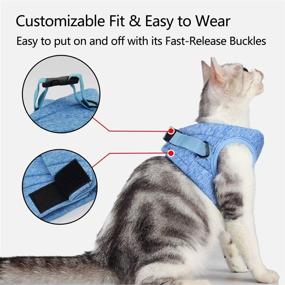 img 3 attached to 🐱 Explore the Diizeco Soft Cat Harness and Leash Set - Adjustable, Escape Proof, and Comfortable Kitten Vest for Safe and Enjoyable Outdoor Walks!