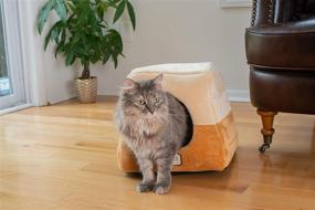 img 1 attached to 😺 Cozy Comfort for Your Feline Friend: Armarkat 16-Inch by 16-Inch Cat Bed