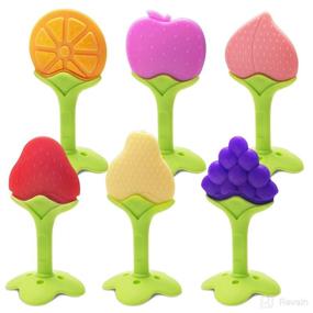 img 4 attached to 🍼 Set of 6 BPA-Free Silicone Fruit Baby Teethers for Newborns and Infants, Freezer Safe to Soothe Gums - Ideal for Babies 0-6 Months and 6-12 Months