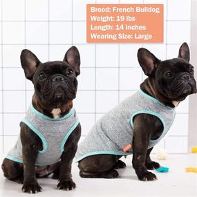 img 2 attached to 👕 KYEESE 2-Pack Quick Dry Stretchy Dog T-Shirts with Reflective Label - Soft Sleeveless Vest Dog Clothes for Small to Medium Dogs