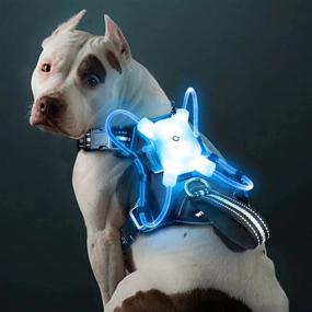 img 4 attached to WINSEE Reflective LED Dog Harness For Night Walking, USB Rechargeable No-Pull Dog Vest Adjustable 7-Mode Light Up Dog Harness For Small, Medium, Large, And Extra-Large Dogs (Large)