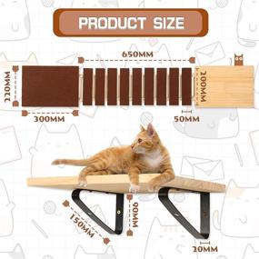 img 1 attached to 🐱 Enhance Your Cat's Environment with Calmbee Cat Wall Shelves: Wall-Mounted Furniture for Feline Comfort and Playtime