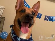 img 1 attached to Celebrate Your Pup'S Big Day With TCBOYING'S 11-Piece Dog Birthday Set – Blue Bandana, Hat, Scarf, Flags, Balloons & More! review by Branden Type
