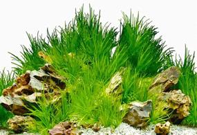 img 1 attached to Amalong Background Aquarium Decoration 40 15×19 68