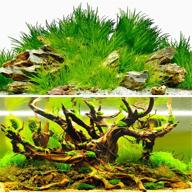 amalong background aquarium decoration 40 15ร19 68 logo