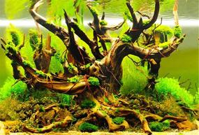 img 2 attached to Amalong Background Aquarium Decoration 40 15×19 68