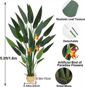 img 2 attached to Large Artificial Bird Of Paradise Plant - 5.25FT Faux Canna Lily Tree With 28 Trunks And 3 Flowers, Perfect Fake Plant For Indoor Home, Office, Or Garden Modern Decor - GTIDEA