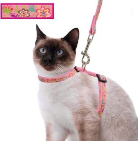 img 4 attached to Harness Pattern Outdoor Walking Adjustable Cats