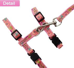 img 2 attached to Harness Pattern Outdoor Walking Adjustable Cats