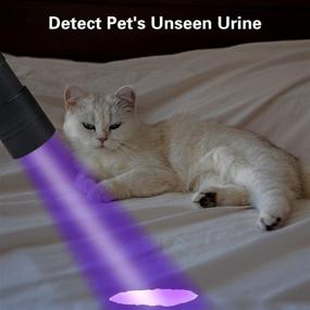 img 1 attached to 🔦 Portable Black Light Urine Detector, COSOOS 12LED Small UV Lights 395nm for Dog Cat Pet Stain Detection - AAA Batteries Included